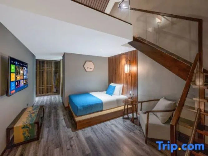 Standard Twin Duplex room