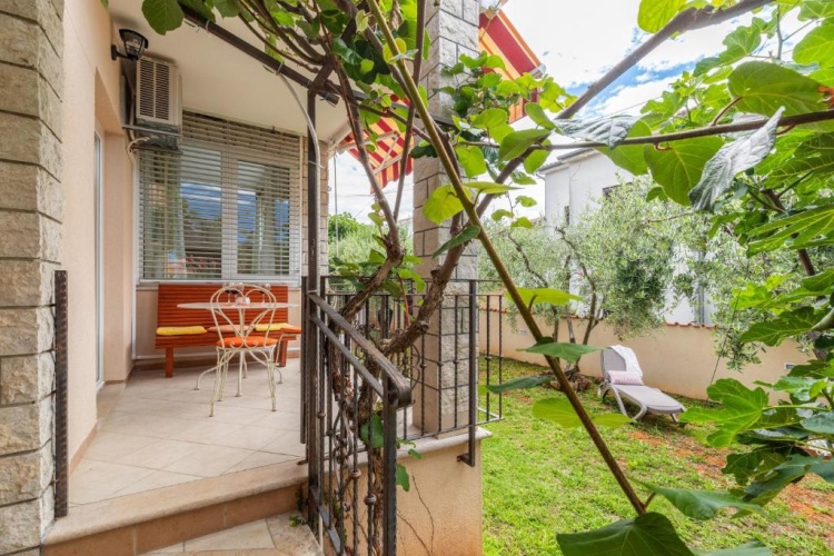 1 Bedroom Apartment with view