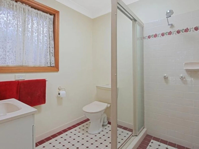 14 Lomandra