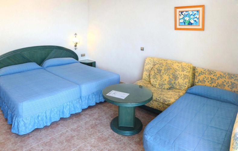 Kaktus Albir photo 40