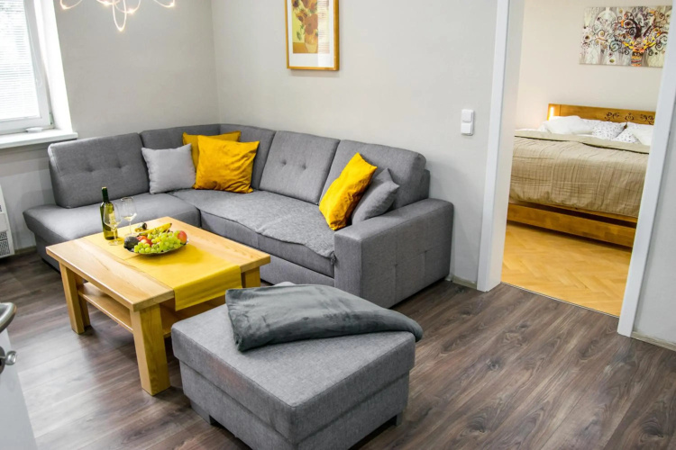 Apartment in downtown
