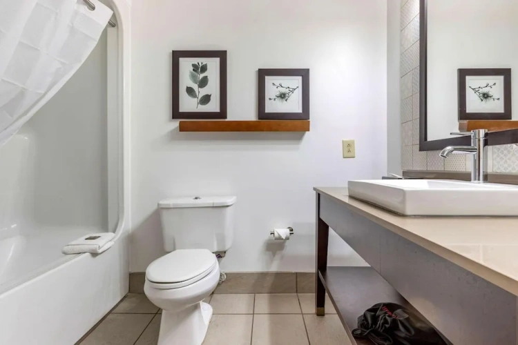 1 Bedroom Suite