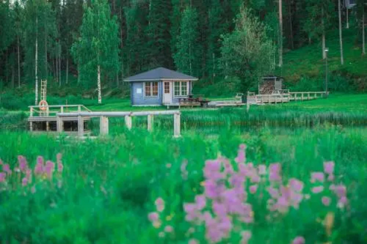 Hotel Paljakka