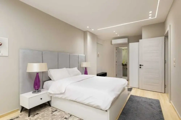 Luxury Apartment