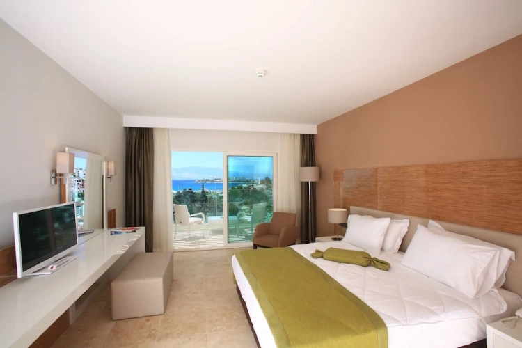 Standard room with balcony and with sea view