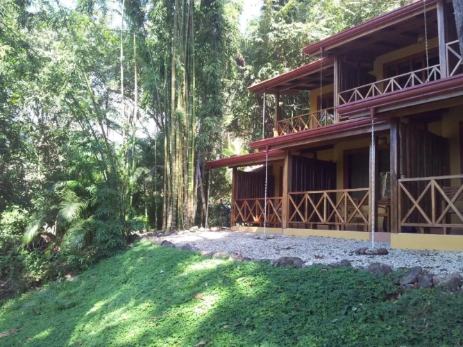 Superior Double room with pool view