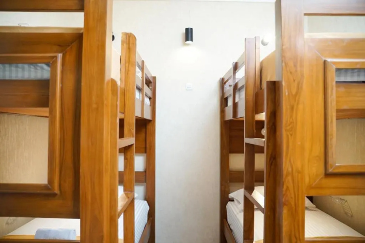 Maple Tree Homestay