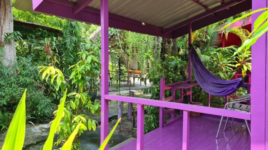 Standard Double room with garden view