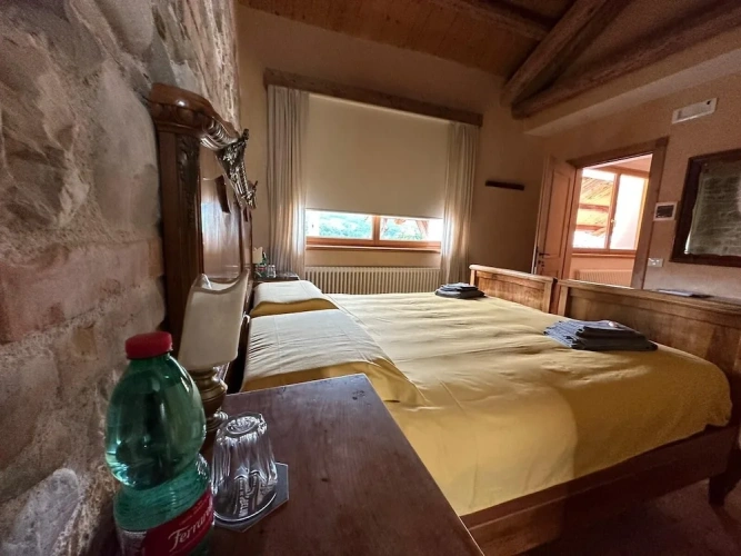 Standard Double room with mountain view