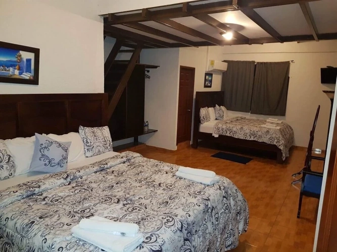 1 Bedroom Premium Suite