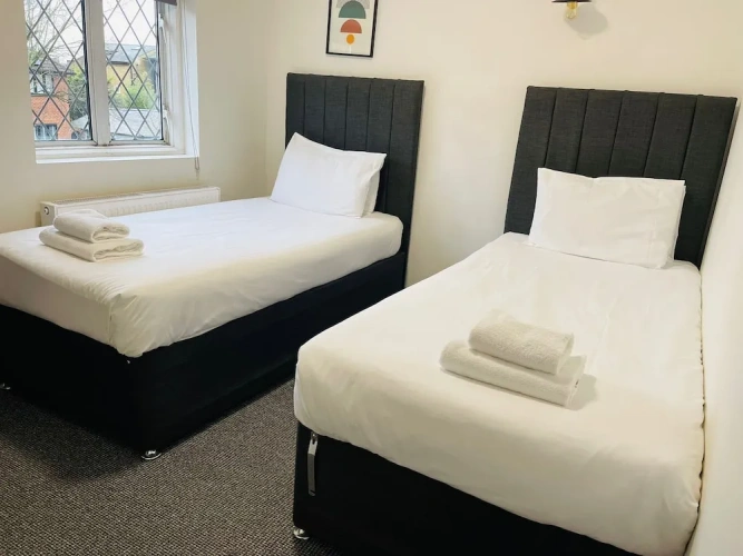 Deluxe Twin room