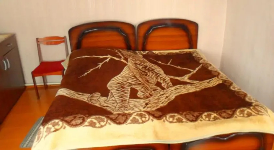 Kazbegi Guest House