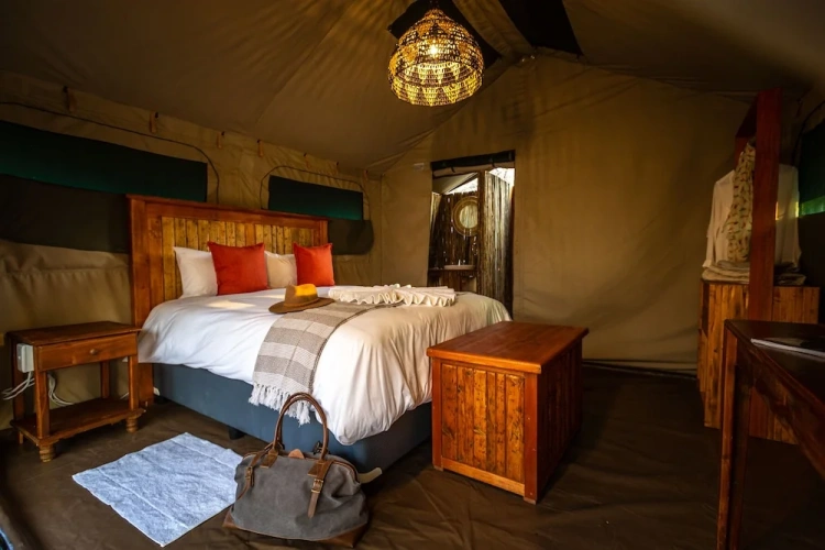 Tent