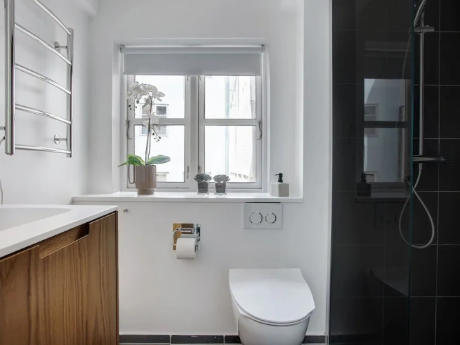 1 Bedroom Apartment with city view
