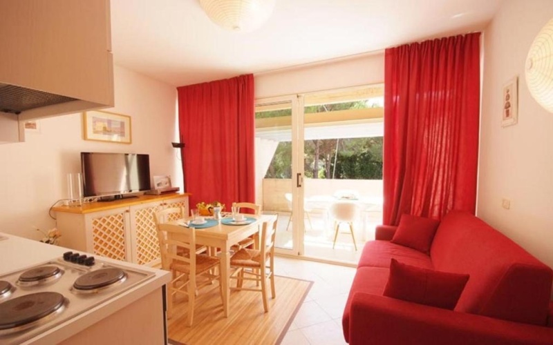 1 Bedroom Apartment