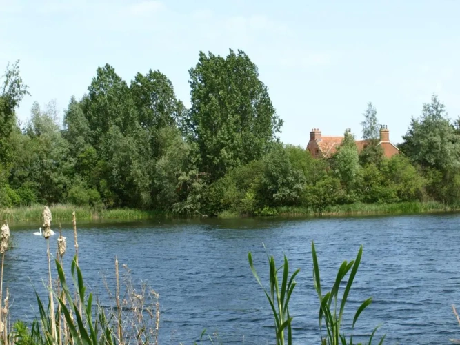 Cottage