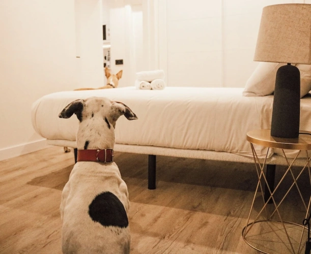1 Bedroom Family Apartment