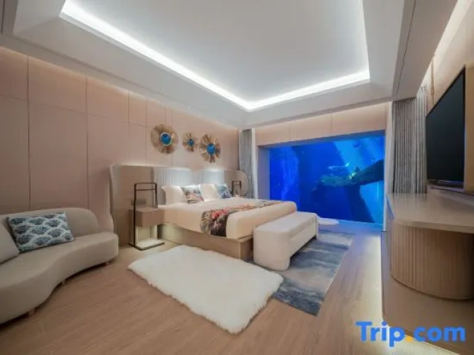 Luxury Suite