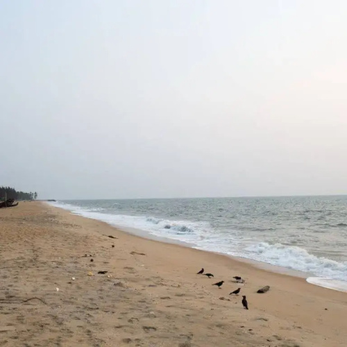 Kuzhupilly Beach House