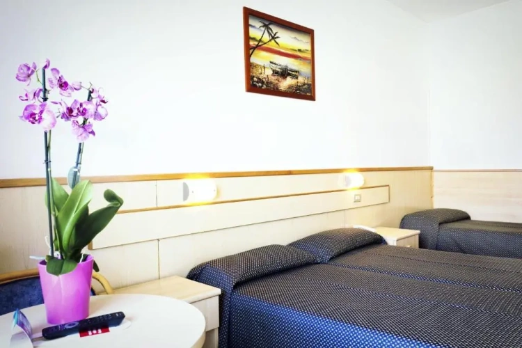 Standard Double room with balcony and with mountain view