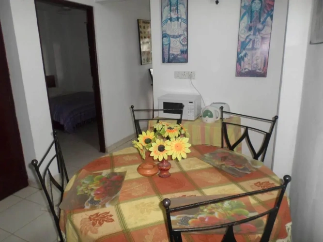 1 Bedroom Apartment with balcony and with view