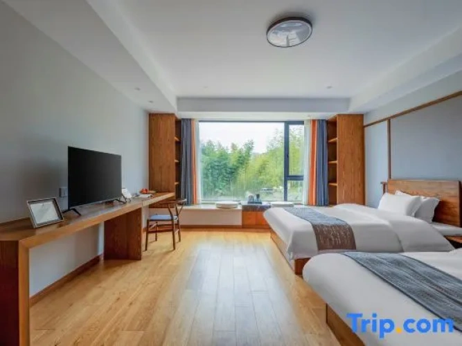 Standard Twin room with mountain view