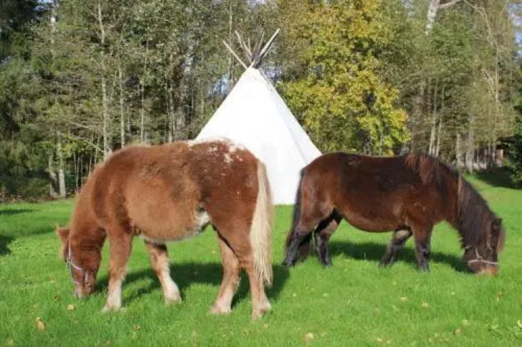 Soesauna Farmstay