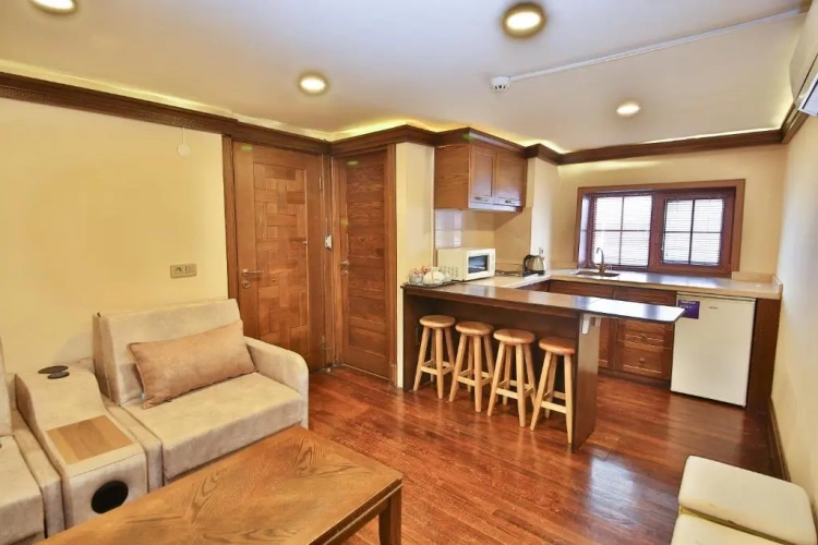 1 Bedroom Apartment