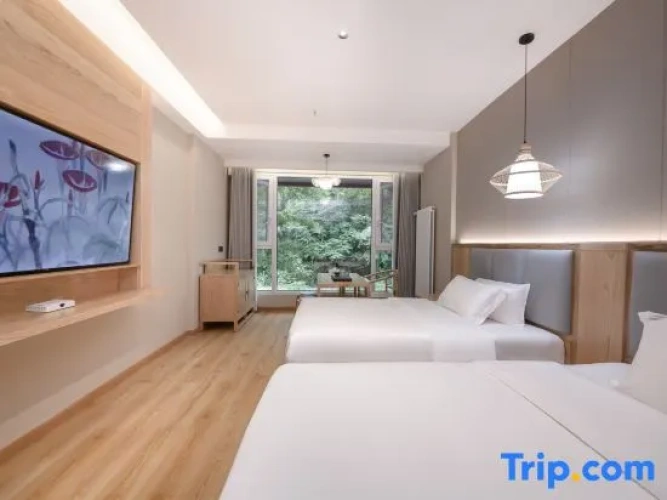 Standard Twin Family room