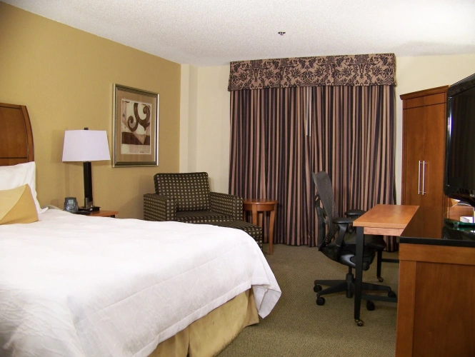 1 Bedroom Double Suite