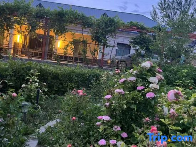 Flower field Homestay
