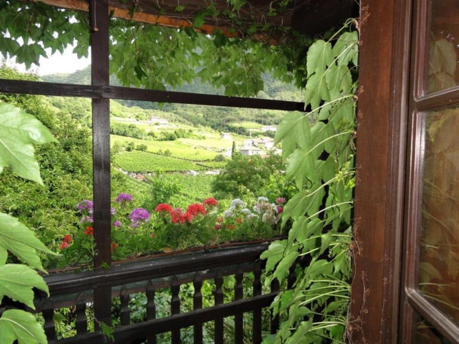 Outside