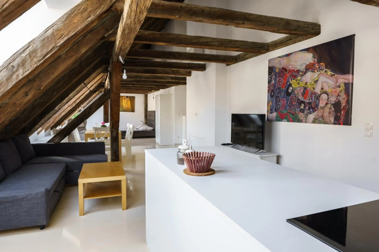 Vienna Living Apartments - Berggasse