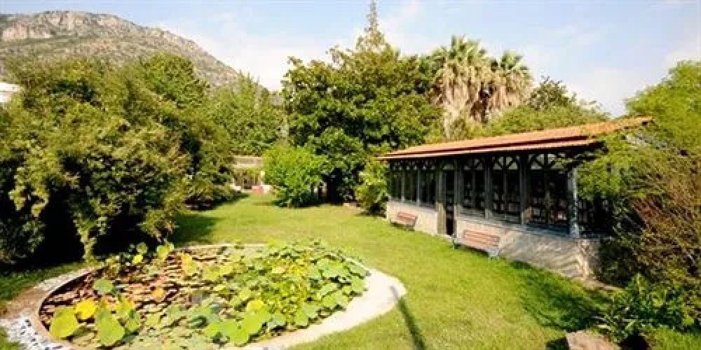 La Gallina Felice B&B
