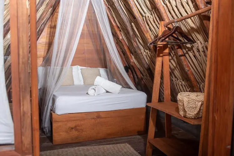 Mapache Hostel & Camping