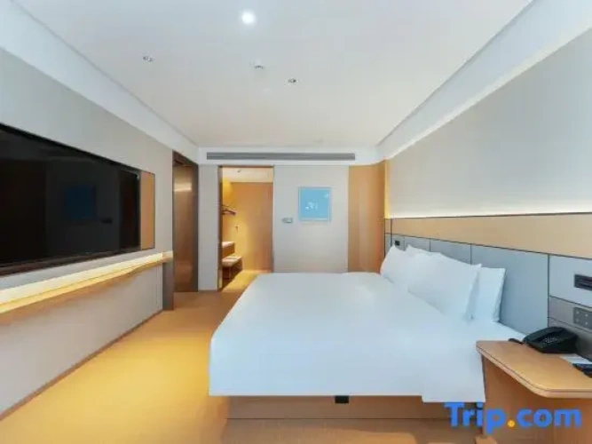 Comfort Suite