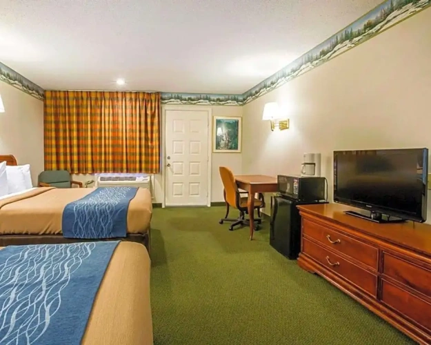 Standard Double room with pool view