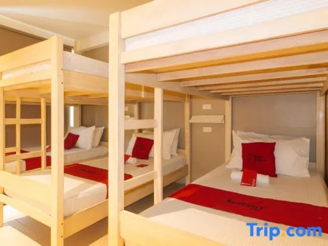 Bed in Dorm