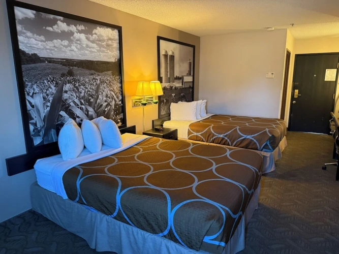 Standard Double room