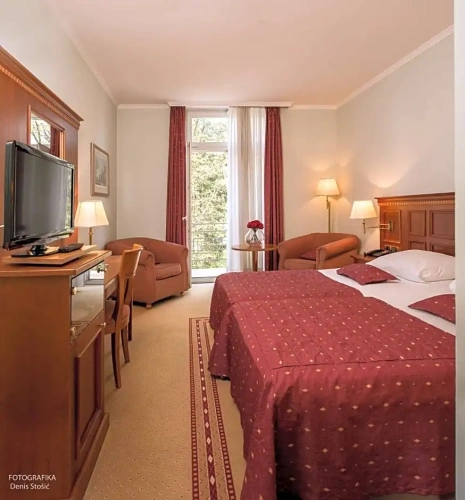 Comfort Double room with balcony and with view