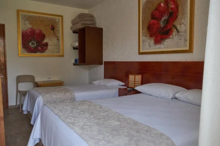 Standard Double room with balcony and with view