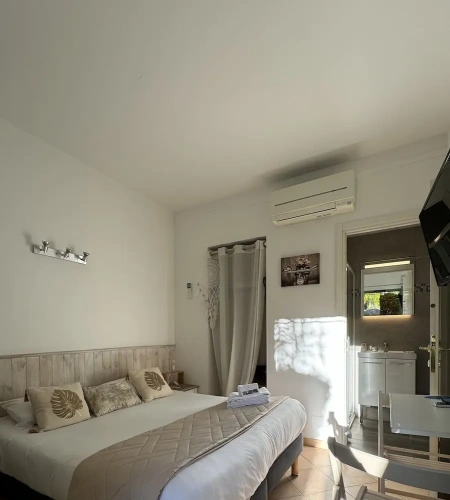 Standard Double room with garden view