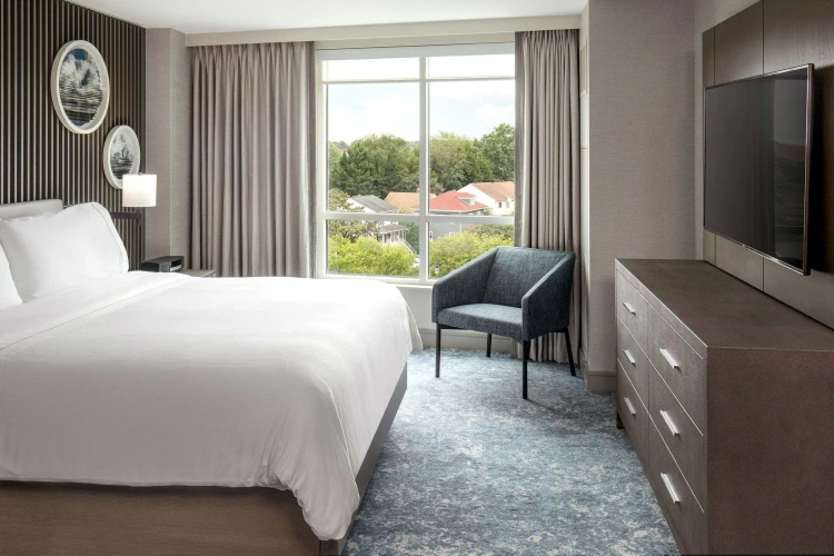 1 Bedroom Presidential Double Suite