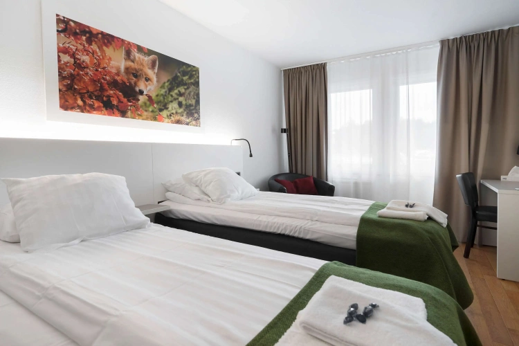 Standard Twin room