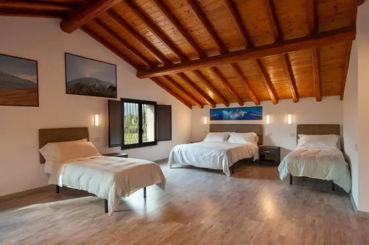 Suite with garden view