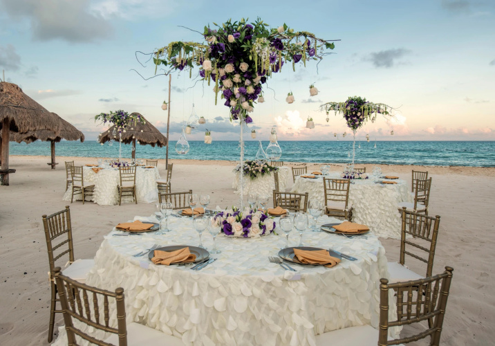 Iberostar Selection Paraiso Lindo photo 31