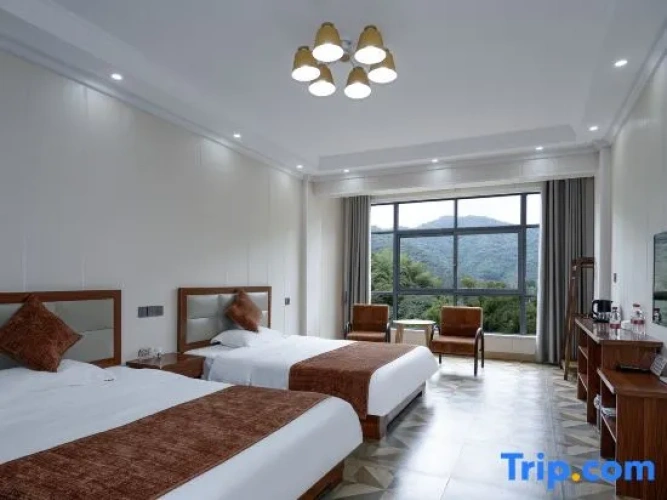 Standard Double room with view