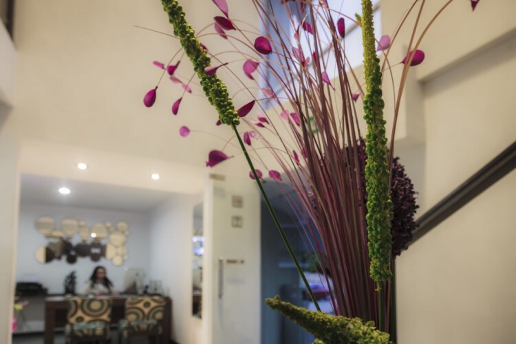 Imagen de Hotel Platino Expo