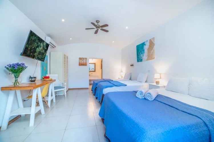 Deluxe Family room