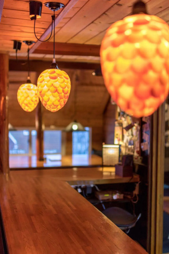 Hooting Owl Lodge